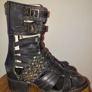 Freebird by Steven Moonflower